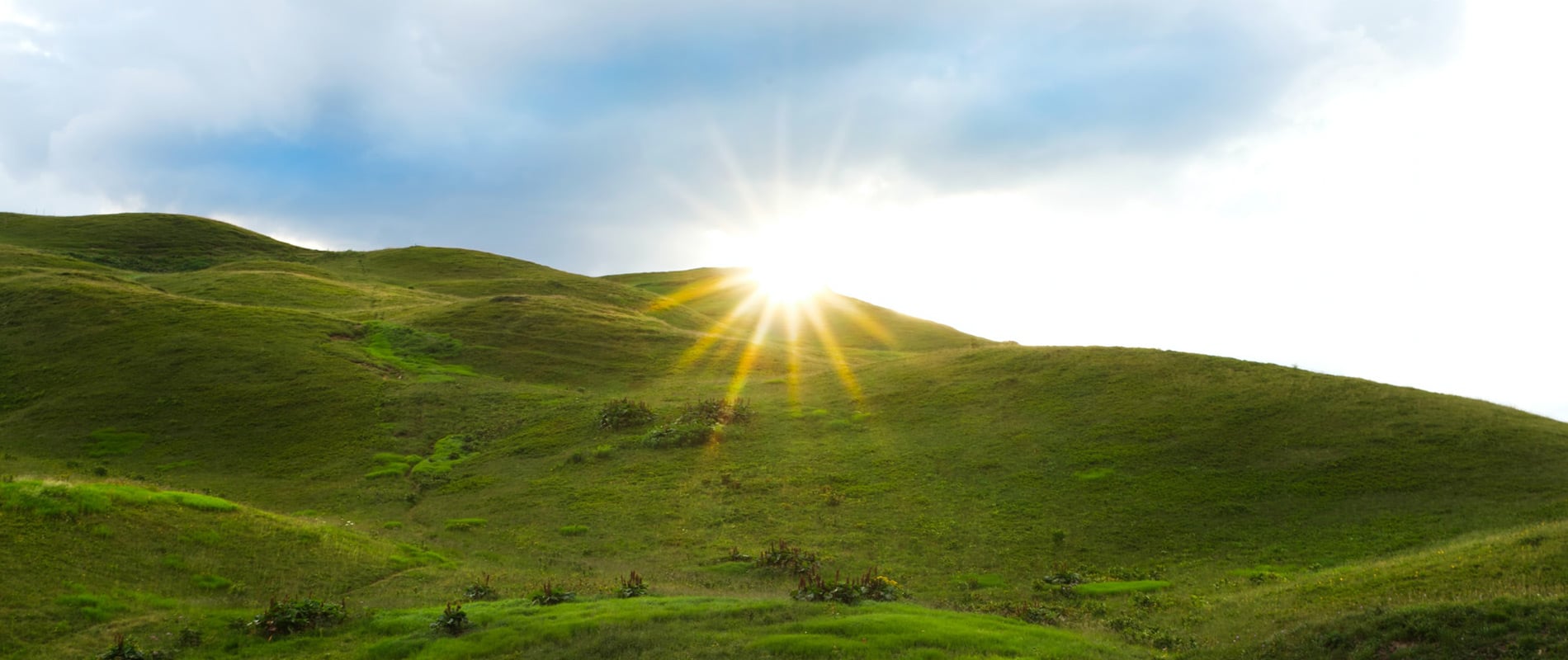 landscape with green hills